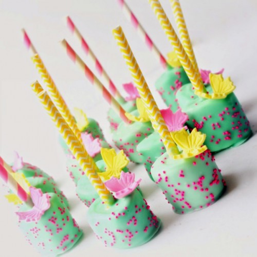 Σετ Κουπ Πατ Με Έμβολο Πεταλούδες Butterfly Plunger PME