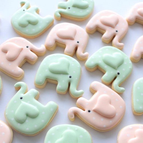 Κουπ πατ Ελέφαντας