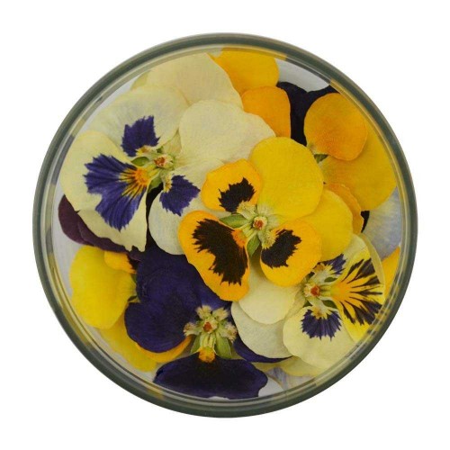 Βρώσιμοι Πανσέδες Mix Χρωμάτων - Rosie Rose